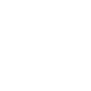 logo bose pro_site synapse